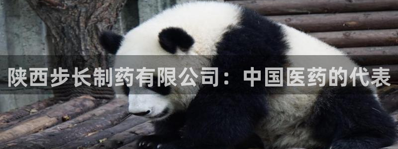 九游会老哥俱乐部官网:陕西步长制药有限公司:中国医药的代表