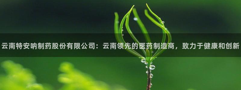 老哥吧九游会:云南特安呐制药股份有限公司:云南领先的医药制造